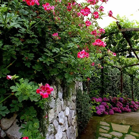 Amore - Alma Vila